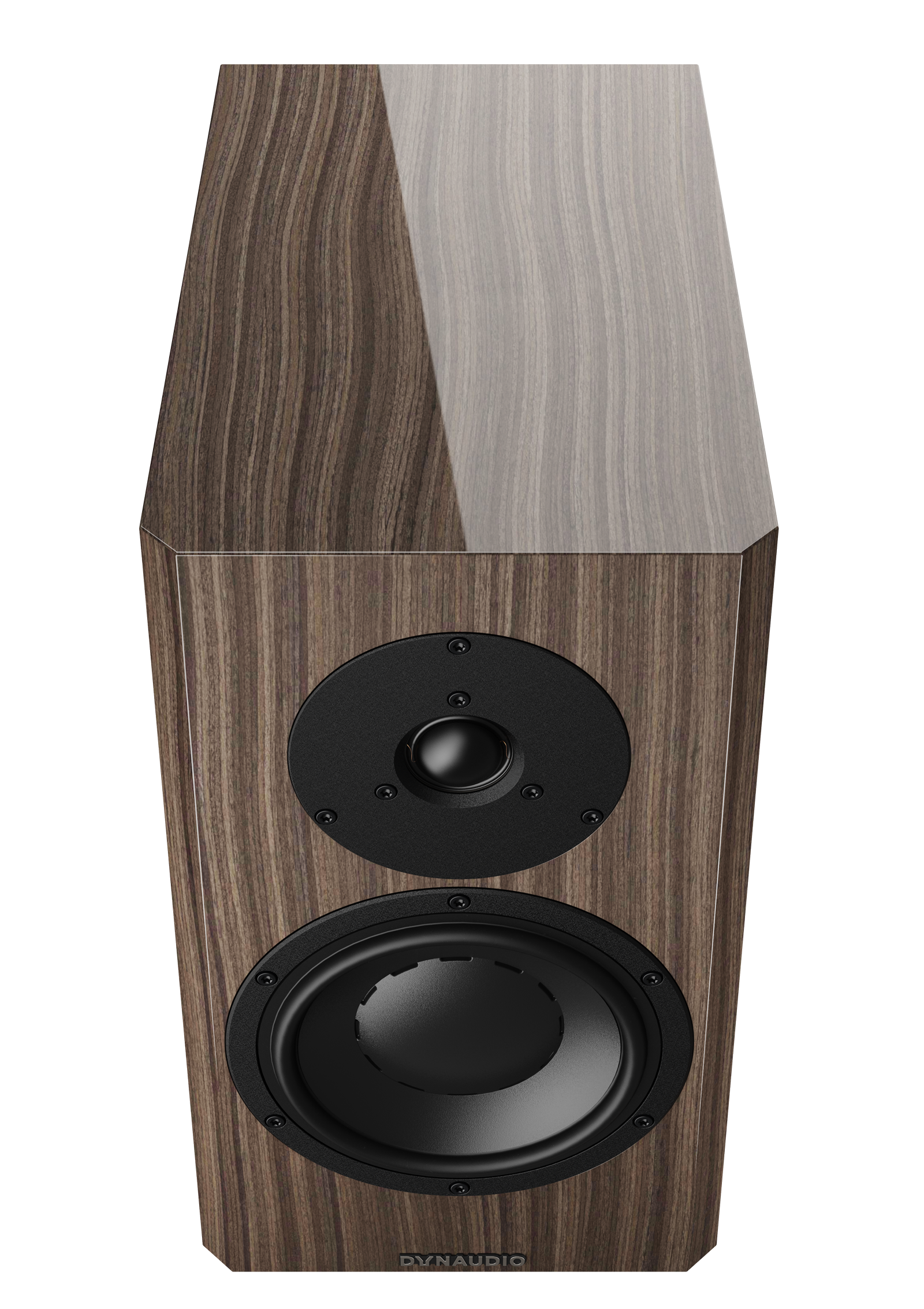 Dynaudio Special Forty