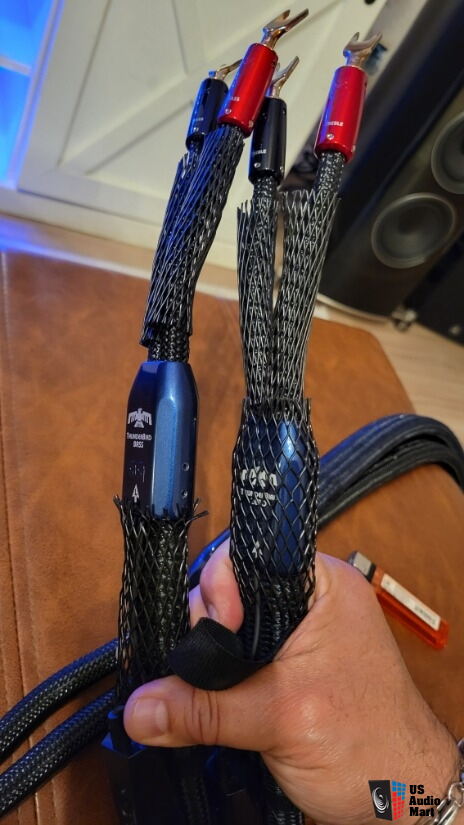 AudioQuest Thunderbird Zero
