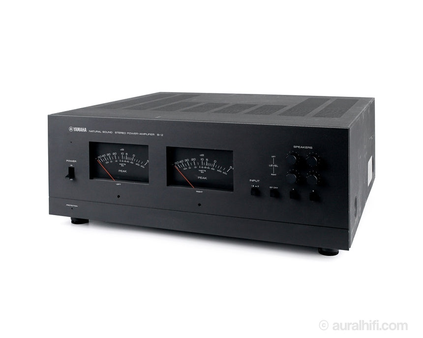 Yamaha B-2X